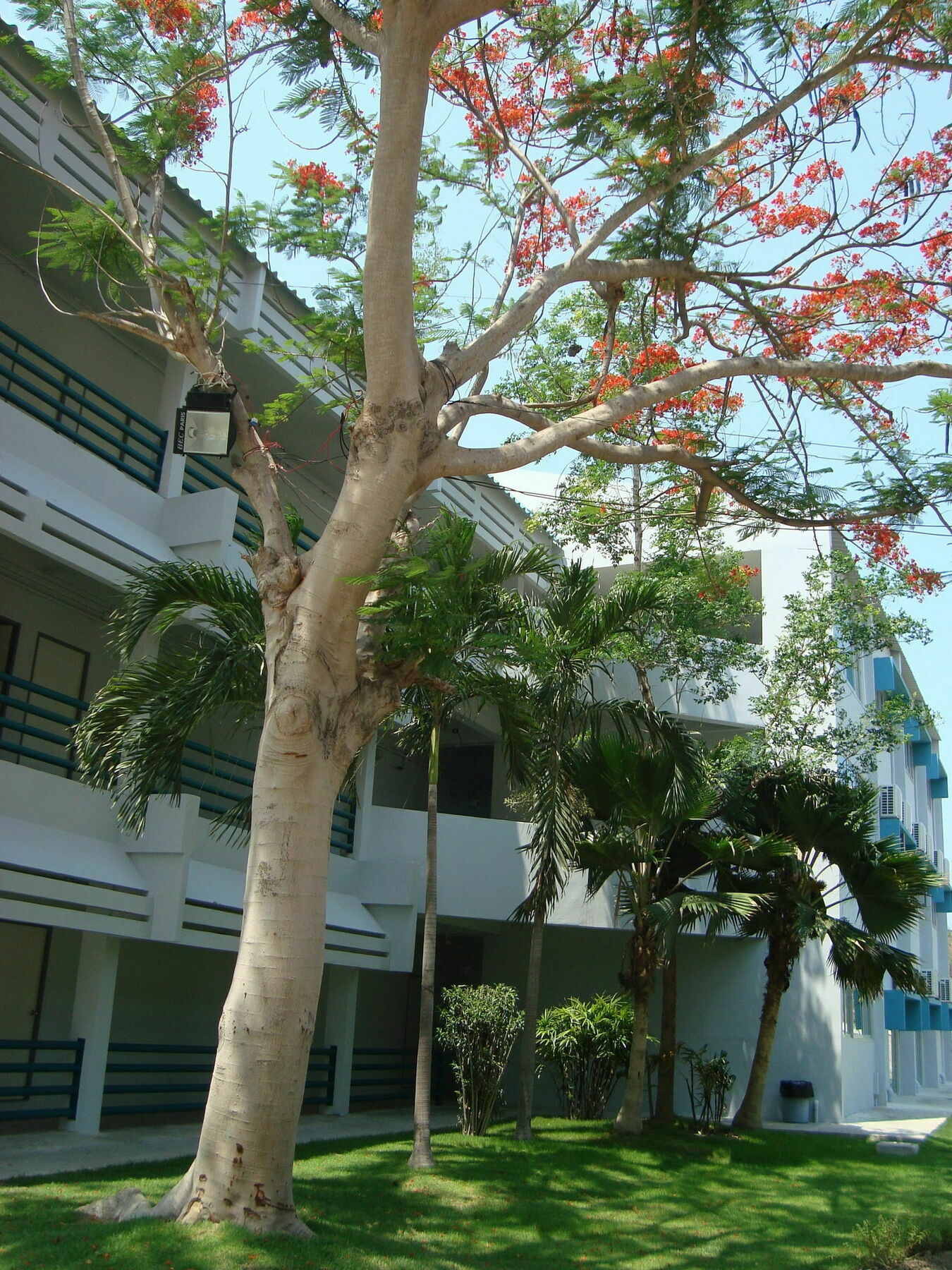 Addera Residence HHQ Exterior foto
